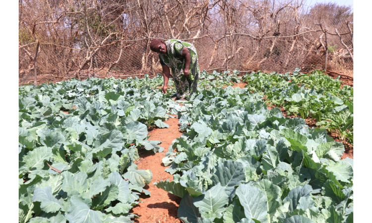 “Eggs, Greens, and Growth: Margaret’s Story of Change”