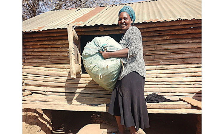 Her Garden, Her Pride: Anna’s Path to Resilience at Boma-4 Village in Kiu Sub-location- Makindu Ward