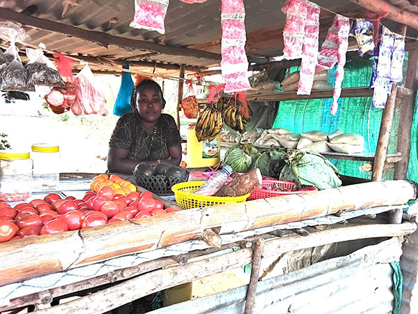 A SHILLING SAVED, A DREAM REALIZED: BUILDING A HOPEFUL FUTURE THROUGH VILLAGE SAVINGS AND LOANING ASSOCIATION (VSLA)